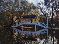 -上海共青森林公园