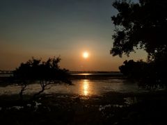 -宝安西湾红树林湿地公园