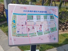-高东镇樱花园