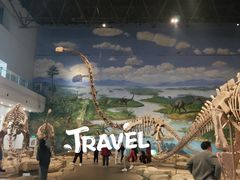 -自贡恐龙博物馆