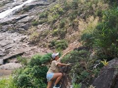 -海南热带雨林国家公园吊罗山景区