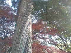 -青岛崂山太清宫