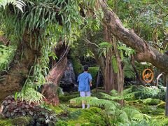 -Chom Cafe and Restaurant