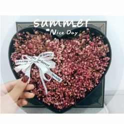 -初NAIL日式美甲美睫沙龙