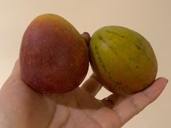 -三亚新鸿港水果一级批发市场