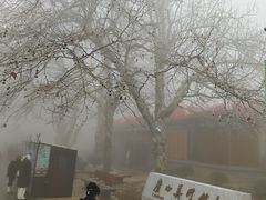 -庐山风景区花径公园