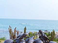 -广东惠东海龟国家级自然保护区