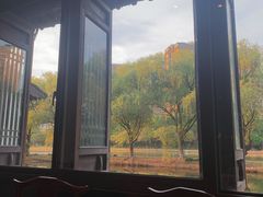 -阮氏酒家(柯桥店)