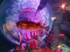 -沈阳海洋探索中心