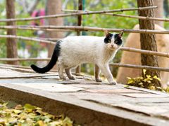 -香木香羊(小汤山店)