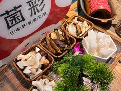 -菌彩云南野生菌火锅(新亚洲店)