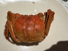 -厦门艾美酒店·新食谱西餐厅