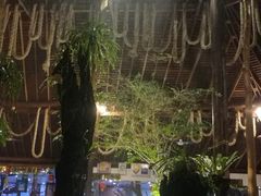 -绿光森林餐厅