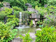 -广州神农草堂中医药博物馆