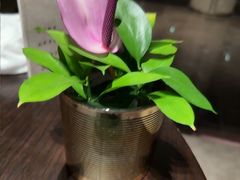 -彩丰楼中餐厅(佘山世茂洲际酒店)