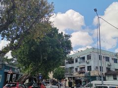 -安德鲁饼店(总店)