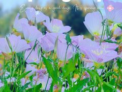 -奉浦四季生态园