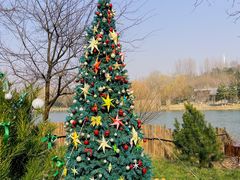 -Supine Bistro溯泮餐厅