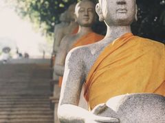 -西双版纳勐泐文化旅游区