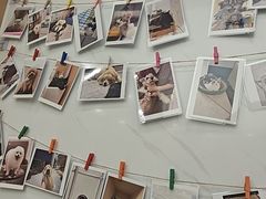 -瑞派康怡24h宠物医院·犬猫医疗中心·微创绝育(瑞景分院)