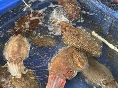 -蓝湾碧波·老字号·疍家非遗海上餐厅