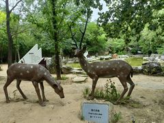 -周口店北京人遗址公园