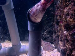 -常州海昌海洋探索馆