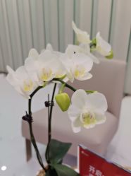 -Yestar艺星整形美容医院