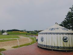 -迪茵湖田家舍生态农场