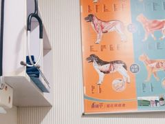 -守诺宠物医院·眼科· 特色牙科·异宠专科(虹口店)