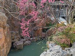 -芥子园