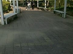-牛鱼嘴原始生态风景区