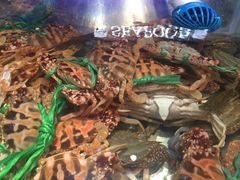 -V-ONE西雅图海鲜自助餐厅(仓山万达广场店)