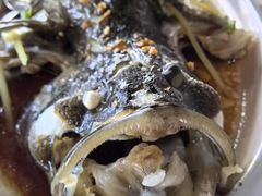 -蓝湾碧波·老字号·疍家非遗海上餐厅