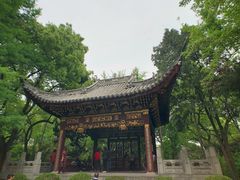 -汇龙潭