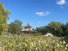 -莲池书院博物馆