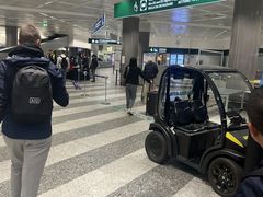 -米兰马尔彭萨国际机场