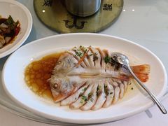 -骏莱海鲜鱼港(五角场店)