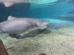 -鸿通城购物中心