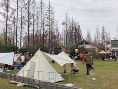 -前小桔亲子创意农场·草莓采摘·露营烧烤