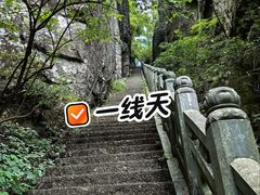 -天目山大树王景区