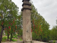 -白水寺森林公园