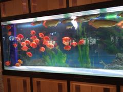 -弘安丽水温泉酒店
