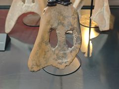 -河姆渡遗址博物馆