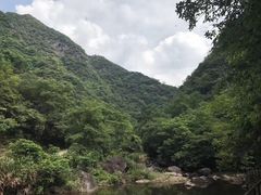 -白云源风景区