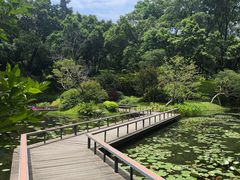 -云溪植物园