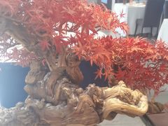 -顺峰(农展馆店)