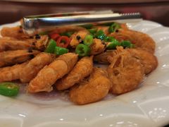 -印象高密·凤都国际大酒店