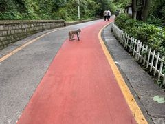 -黔灵山公园