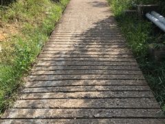 -南丫岛